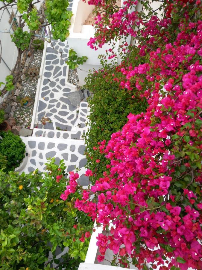 Poros Town Studio In Garden מראה חיצוני תמונה