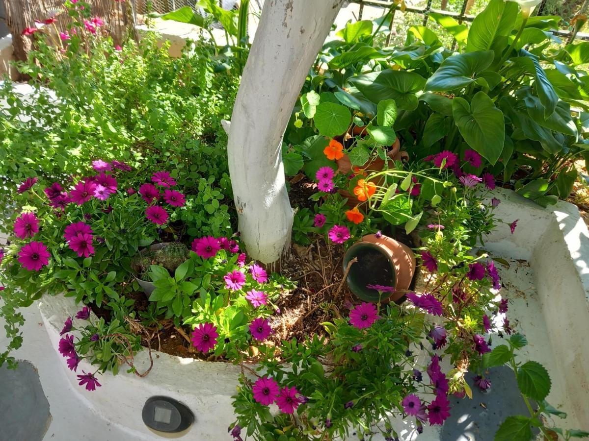 Poros Town Studio In Garden מראה חיצוני תמונה