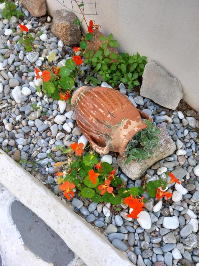 Poros Town Studio In Garden מראה חיצוני תמונה